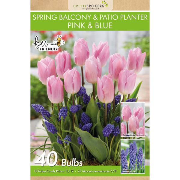 GreenBrokers Balcony and Patio Planter Bulb Mix – 40 Pink & Blue Bulbs B1322