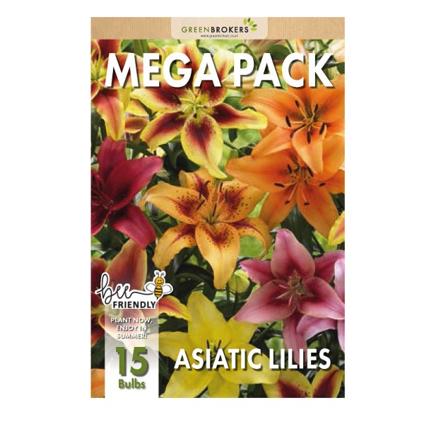 Big Buy Mega Summer Pack Lilies Mixed Colours (15 Bulbs) 
