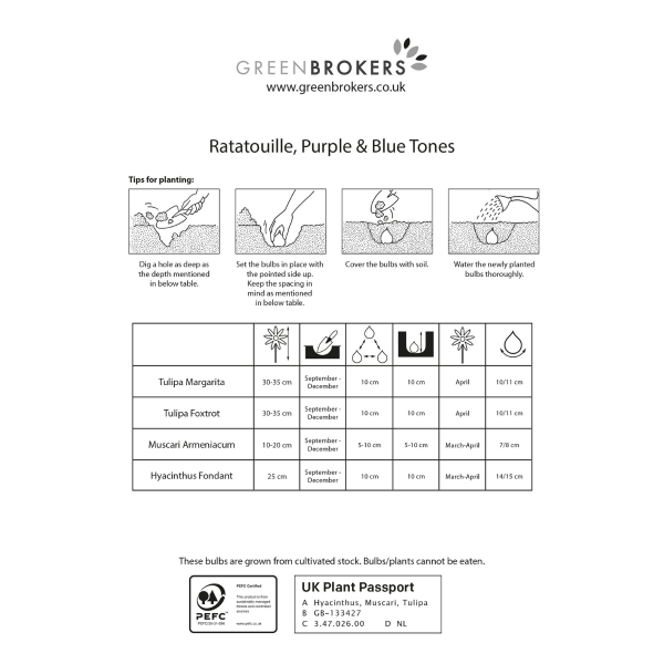 GreenBrokers Ratatouille Purple & Pink Tones Bulb Mix – 30 Dutch Bulbs B1166