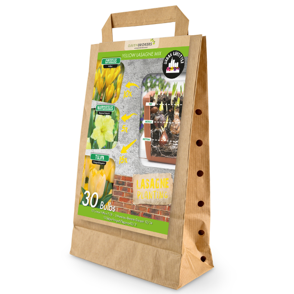 GreenBrokers Yellow Lasagne Bulb Mix – 30 Spring Bulbs, Bee-Friendly B1204
