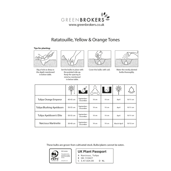 GreenBrokers Ratatouille Yellow & Orange Bulb Mix – 30 Dutch Bulbs, Bee-Friendly B1169