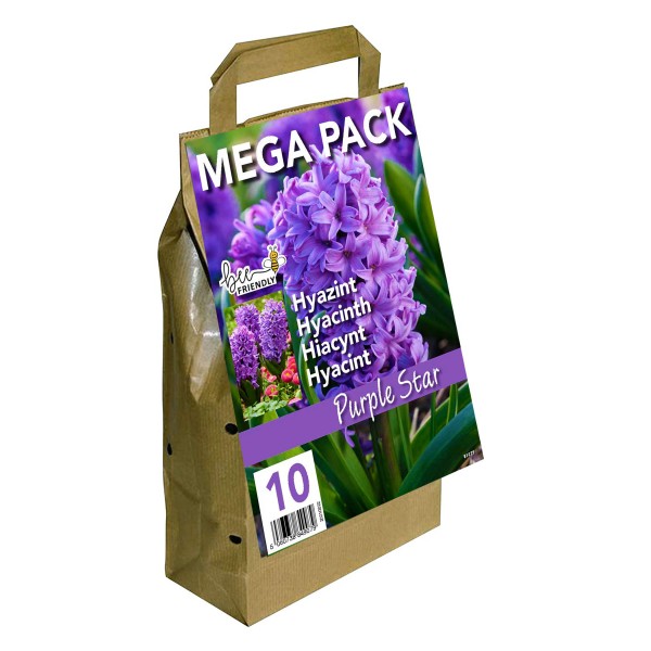 Hyacinth Mega Bag Purple Star (10 bulbs) Bee Friendly