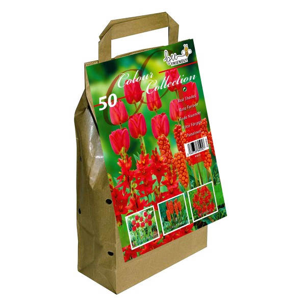 Colour Collection Spring Flower Bulbs-Red (50 Bulbs) Bee Friendly