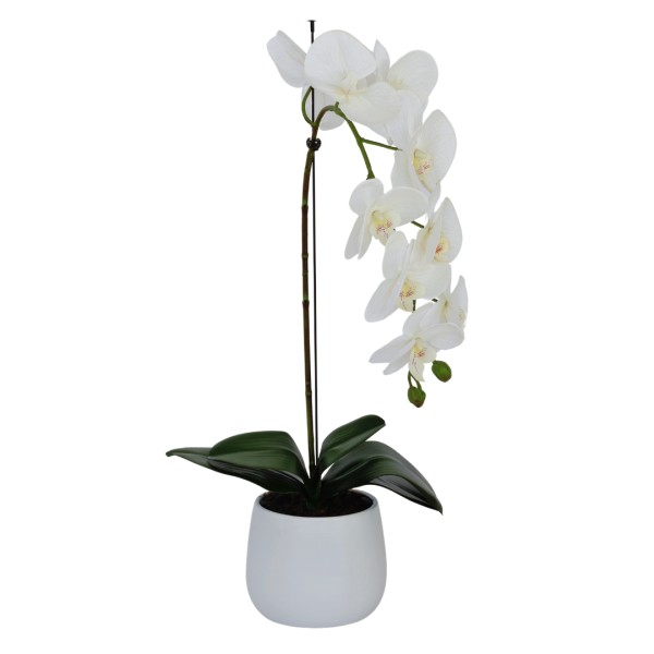 Elegant Large Single Stem White Real Touch Artificial Potted Orchid (65cm) in Round White Ceramic Pot G1043
