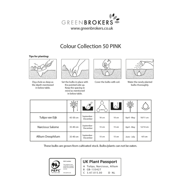 GreenBrokers Pink Colour Collection – 50 Dutch Bulbs, Bee-Friendly Mix B1216