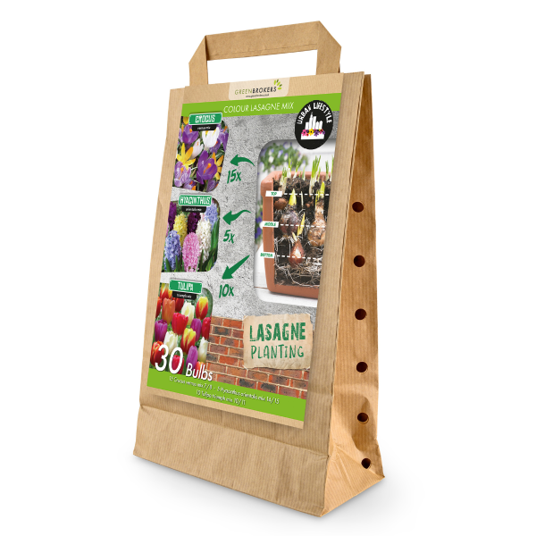 GreenBrokers Colour Lasagne Mix Bulbs – 30 Dutch Bulbs, Layered Eco Gift Bag B1176