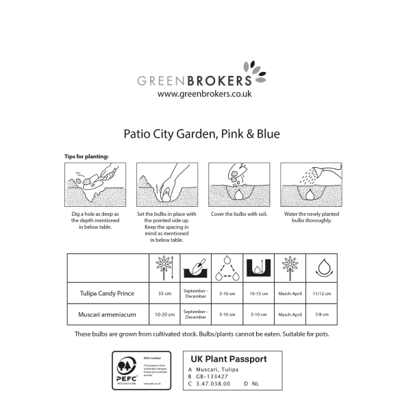 GreenBrokers Balcony and Patio Planter Bulb Mix – 40 Pink & Blue Bulbs B1322