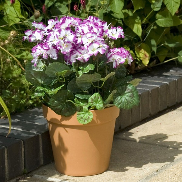 Artificial Red Geranium Terracotta Patio Planter 50cm/20in - A1083