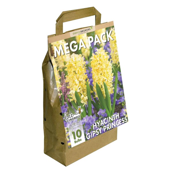 Hyacinth Mega Bag Gipsy Princess (10 bulbs) Bee Friendly