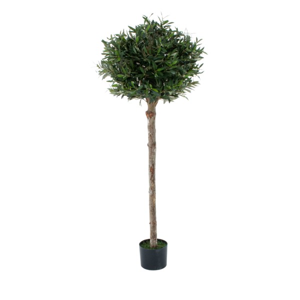 Artificial Olive Tree With Real Wood Trunk Premium Quality Natural Appearance 5ft/150 cm - G1368