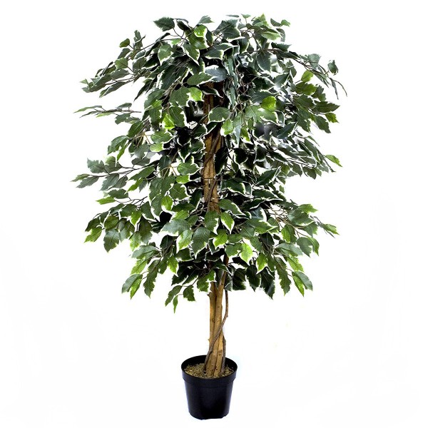 Artificial Variegated Ficus Tree Potted Plant 140cm/4ft