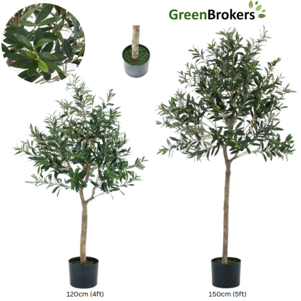 Artificial Olive Tree, Premium Quality Natural Appearance 5ft/150 cm - A1034