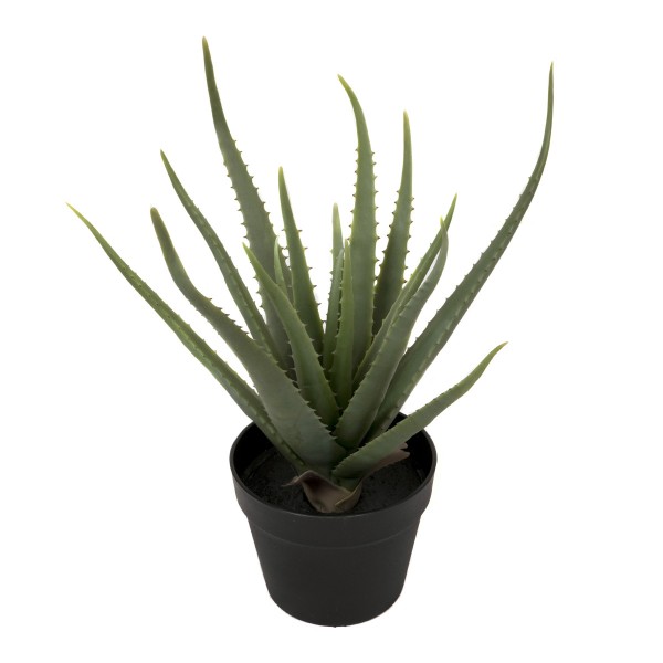 Artificial Soft Aloe Vera Succulent Plant in Black Pot 50cm/20in