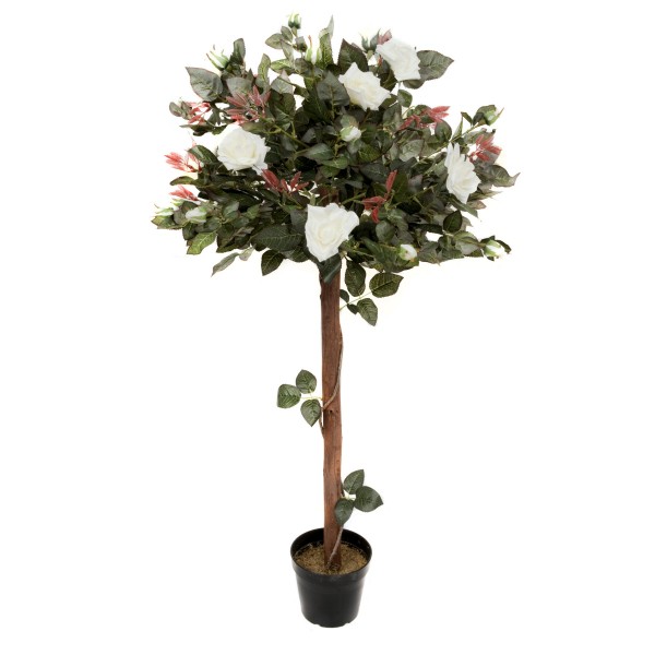 Artificial White Rose Tree 30 Flowers 120cm/4ft - GB1406
