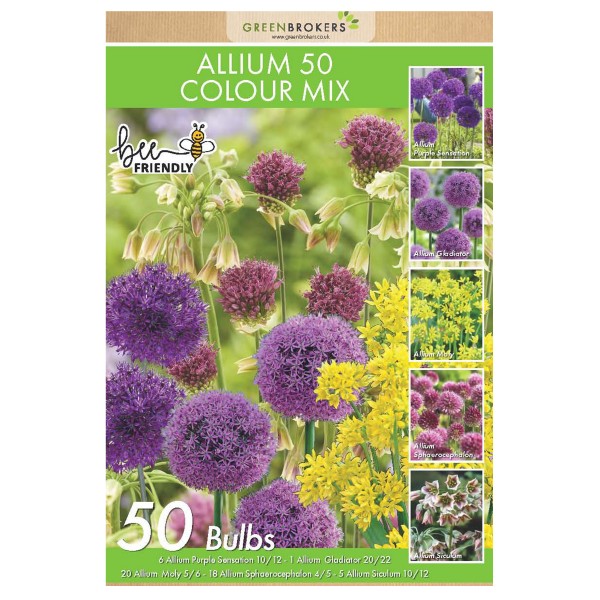 Allium Bulbs Collection-Mixed Colours & Varieties (50 Bulbs) Bee Friendly