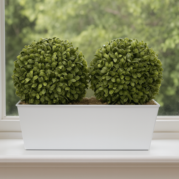 Artificial Topiary Double Ball Aglaia Boxwood in White Slanted Tin Window Box 35cm/14in - GB1057