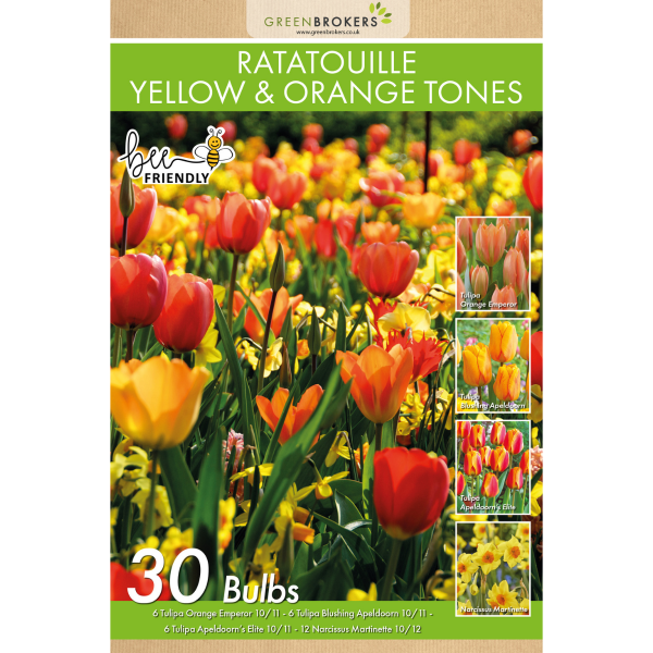 GreenBrokers Ratatouille Yellow & Orange Bulb Mix – 30 Dutch Bulbs, Bee-Friendly B1169