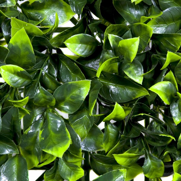 Artificial Green Wall Hedge with Light and Dark Leaf Foliage Pack of 4 x 50cm/20in