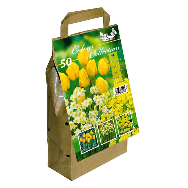 Colour Collection Spring Flower Bulbs-Yellow (50 Bulbs) Bee Friendly