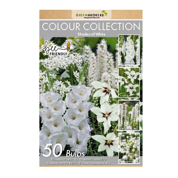 White Colour Collection Summer Flowering Bulbs (50 Bulbs) - GB1307