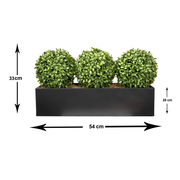 Artificial Topiary Triple Ball Aglaia Boxwood in Black Straight Tin