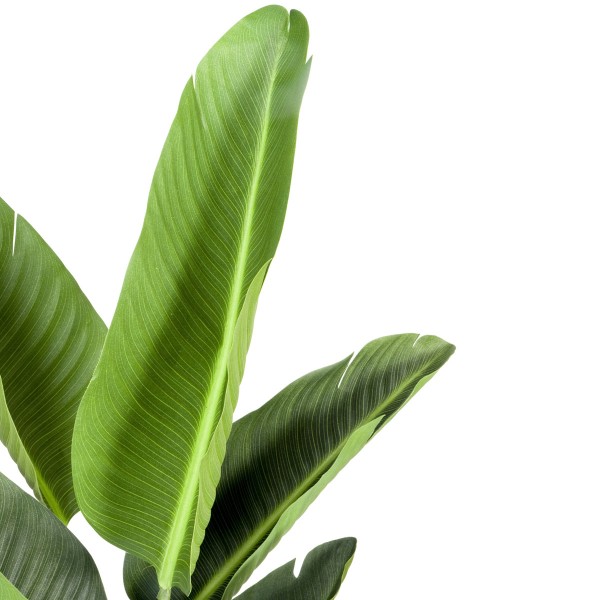 Artificial Real Touch Bird of Paradise Tree in Pot 120cm/4ft - GB1198