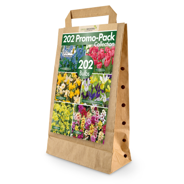 GreenBrokers 202 Bulb Bee-Friendly Flower Mix, Spring Garden Pack in Eco Bag B1154