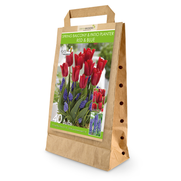 GreenBrokers Spring Balcony and Patio Planter Mix – 40 Red & Blue Bulbs B1315