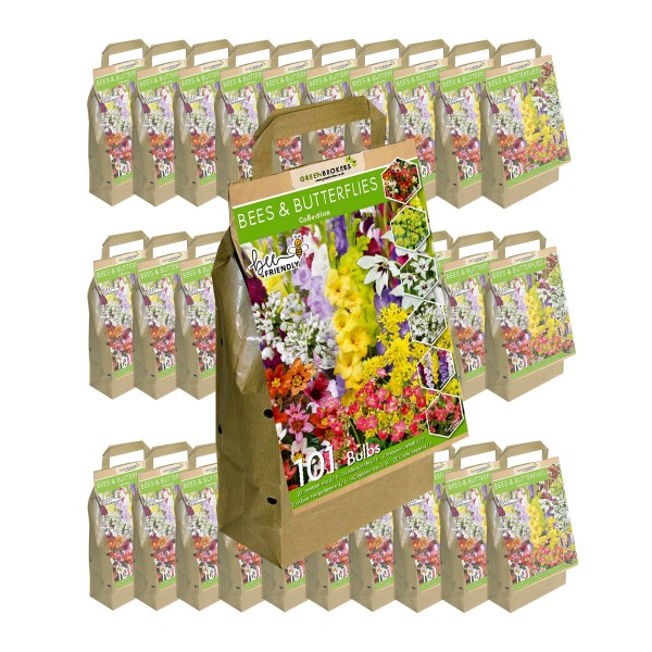 30 Packs Bee and Butterfly Summer Collection Big Value Pack 6 Flowering Varieties Mixed Colour (101 Bulbs)