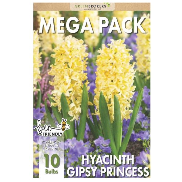 Hyacinth Mega Bag Gipsy Princess (10 bulbs) Bee Friendly