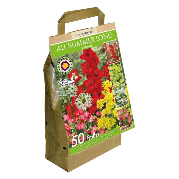 All Summer Long Flowering Bulbs Big Value Pack Mixed Colours (50 Bulbs) - GB1312