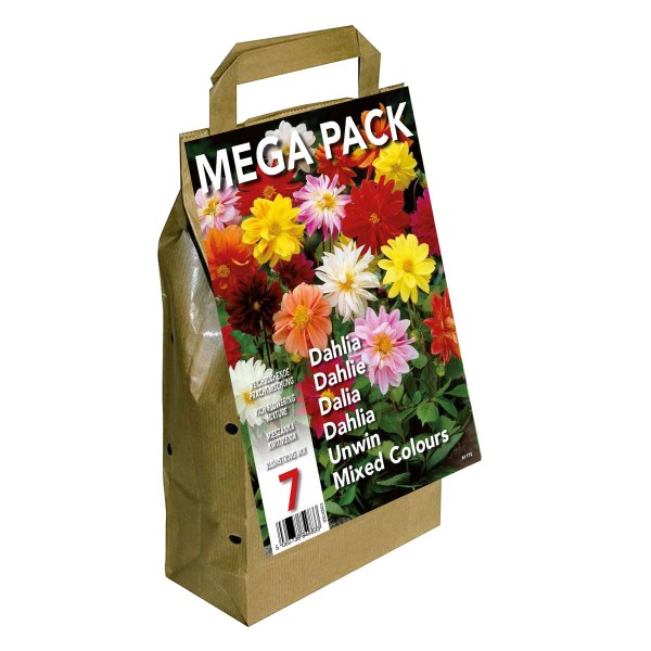 Big Buy Mega Pack Dahlia Unwin Mixed Colours (7 Bulbs)
