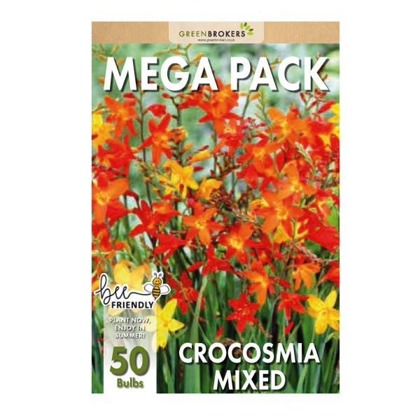 Big Buy Mega Pack Crocosmia Summer Flowering (50 Bulbs)