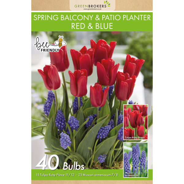 GreenBrokers Spring Balcony and Patio Planter Mix – 40 Red & Blue Bulbs B1315