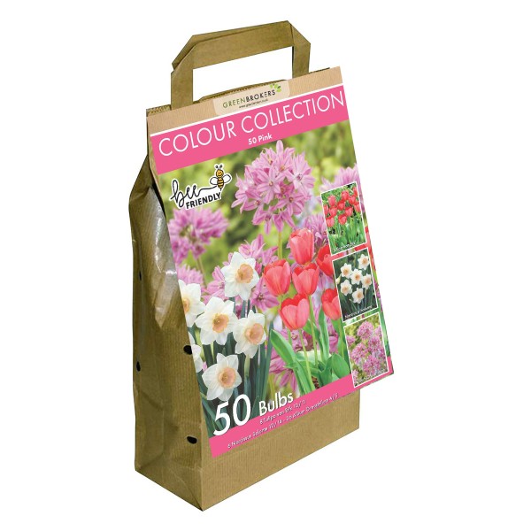 Colour Collection Spring Flower Bulbs-Pink (50 Bulbs) Bee Friendly