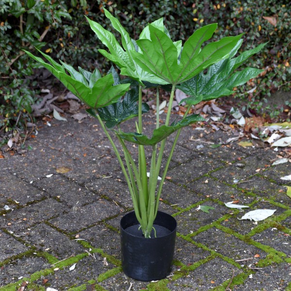 Artificial House Plant 60cm