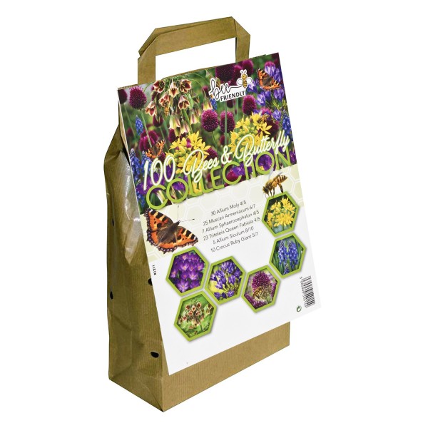 Big Buy Value Pack Bees & Butterfly Bulbs Collection6 Spring Flowering