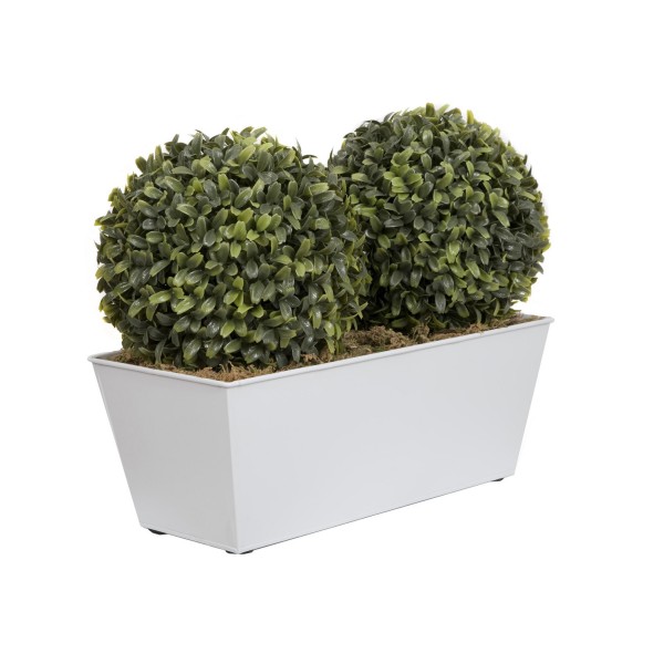 Artificial Topiary Double Ball Aglaia Boxwood in White Slanted Tin Window Box 35cm/14in