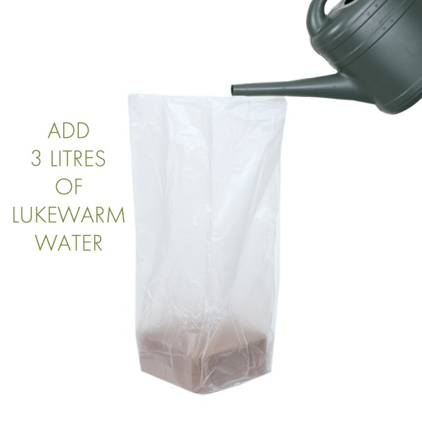 Organic All Purpose Potting Compost - Expands to 10Ltrs - GB1001