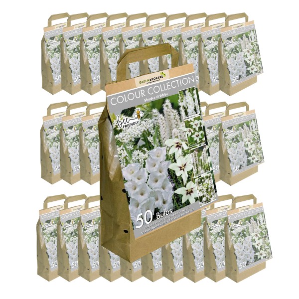 30 Packs White Colour Collection Summer Flowering Bulbs (50 Bulbs)