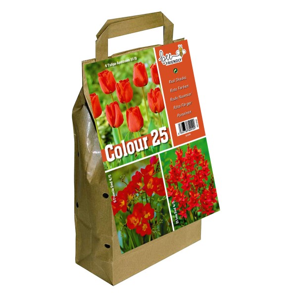 Colour Collection Spring Flowering Bulbs Red (25 Bulbs) Bee Friendly