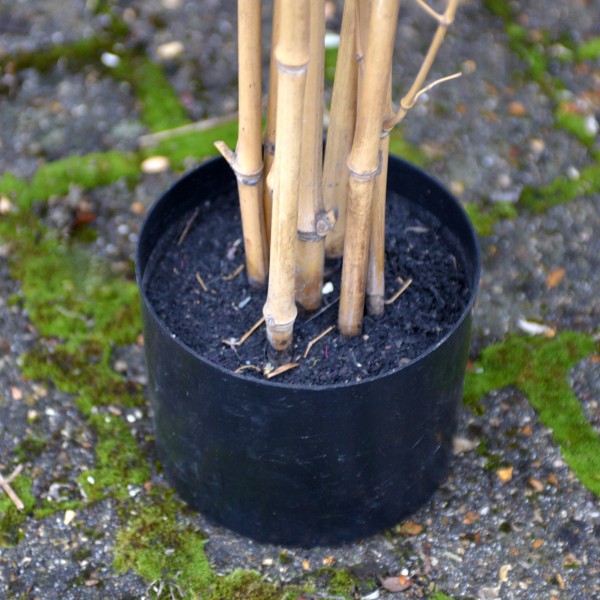 Artificial Bamboo Tree in Pot 160cm