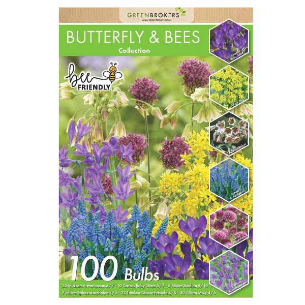 Big Buy Value Pack Bees & Butterfly Bulbs Collection-6 Spring Flowering Varieties (100 Bulbs) 