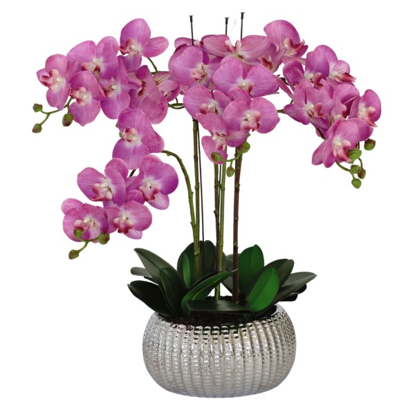 Elegant Large Six Stem Butterfly Purple Real Touch Artificial Potted Orchid (65cm) in Decorative Silver Ceramic Pot G1319