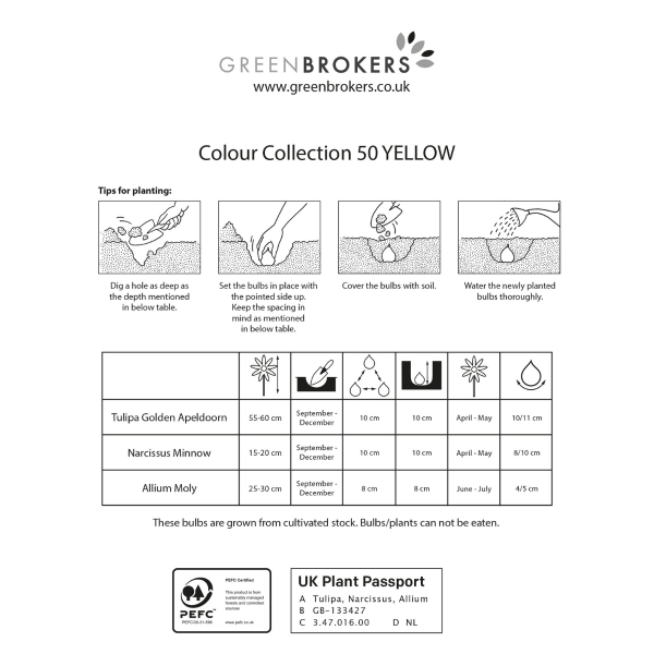 GreenBrokers Yellow Colour Collection – 50 Dutch Bulbs, Bee-Friendly Mix B1217