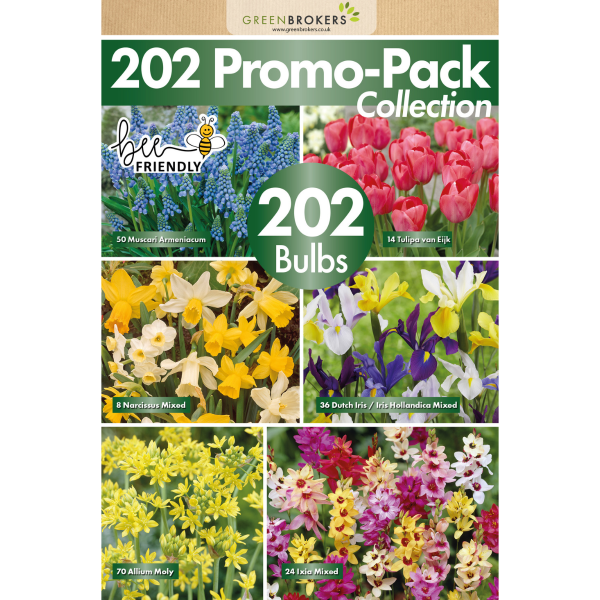 GreenBrokers 202 Bulb Bee-Friendly Flower Mix, Spring Garden Pack in Eco Bag B1154