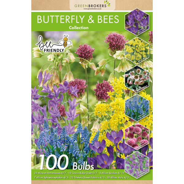 GreenBrokers Butterfly & Bee Bulb Collection Mix – 100 Dutch Spring Bulbs B1211