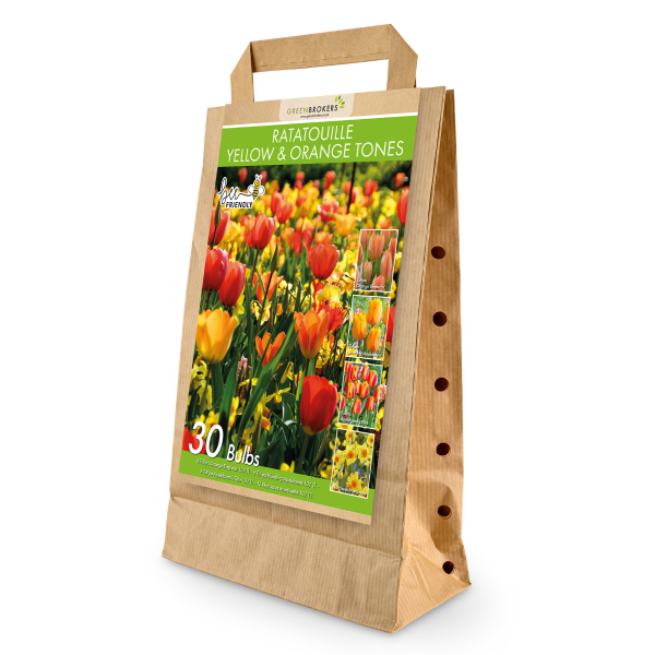 GreenBrokers Ratatouille Yellow & Orange Bulb Mix – 30 Dutch Bulbs, Bee-Friendly B1169