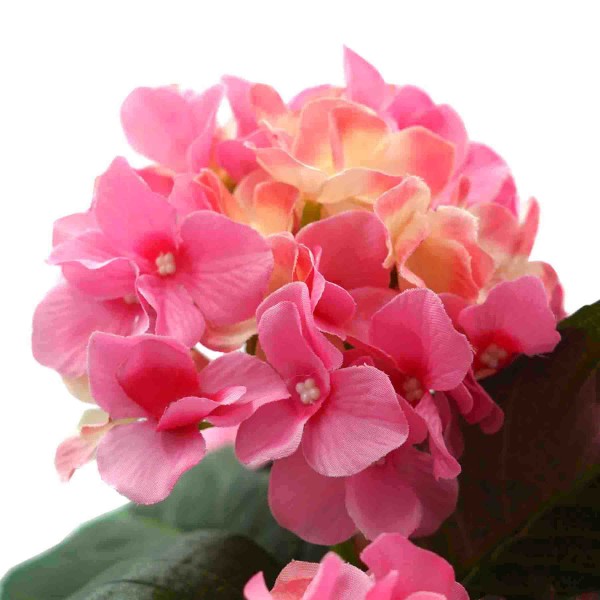 Artificial Pink Hydrangea in Black Window Box - GB1383
