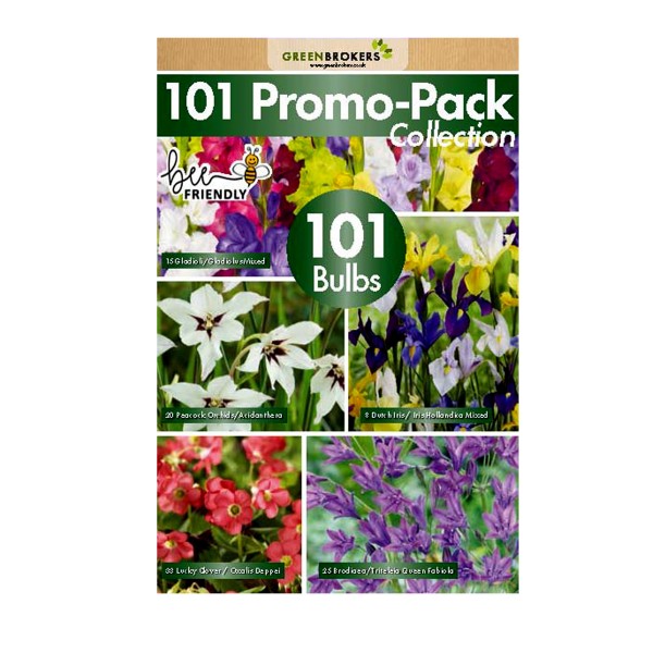 101 Bulbs Promo Pack Collection Summer Flowering Varieties Mixed Colour - GB1305